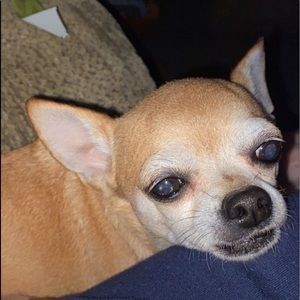 Meet your Posher, Haley